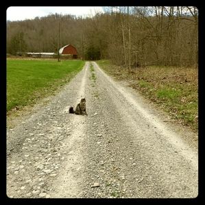 Meet your Posher, Stacy